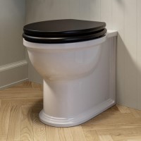 Back to Wall Rimless Toilet and Black Wooden Soft Close Seat – Ripley