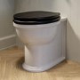 Back to Wall Rimless Toilet and Black Wooden Soft Close Seat – Ripley