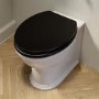 Back to Wall Rimless Toilet and Black Wooden Soft Close Seat – Ripley