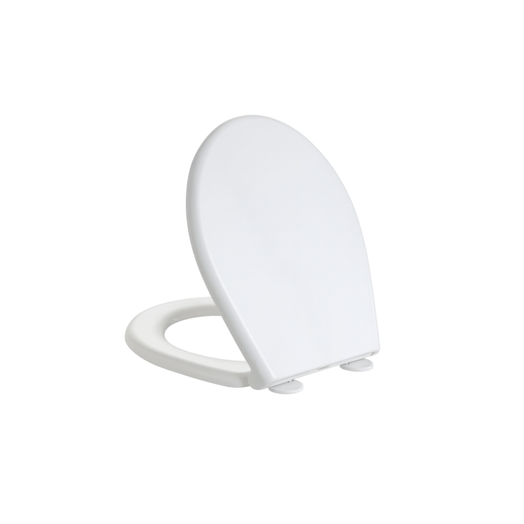 Back to Wall Rimless Toilet and Soft Close Seat - Ripley