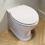 Back to Wall Rimless Toilet and Soft Close Seat - Ripley