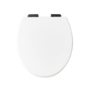 Back to Wall Rimless Toilet and Soft Close Seat with Matt Black Hinges - Ripley