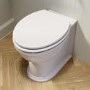Back to Wall Rimless Toilet and Soft Close Seat with Matt Black Hinges - Ripley