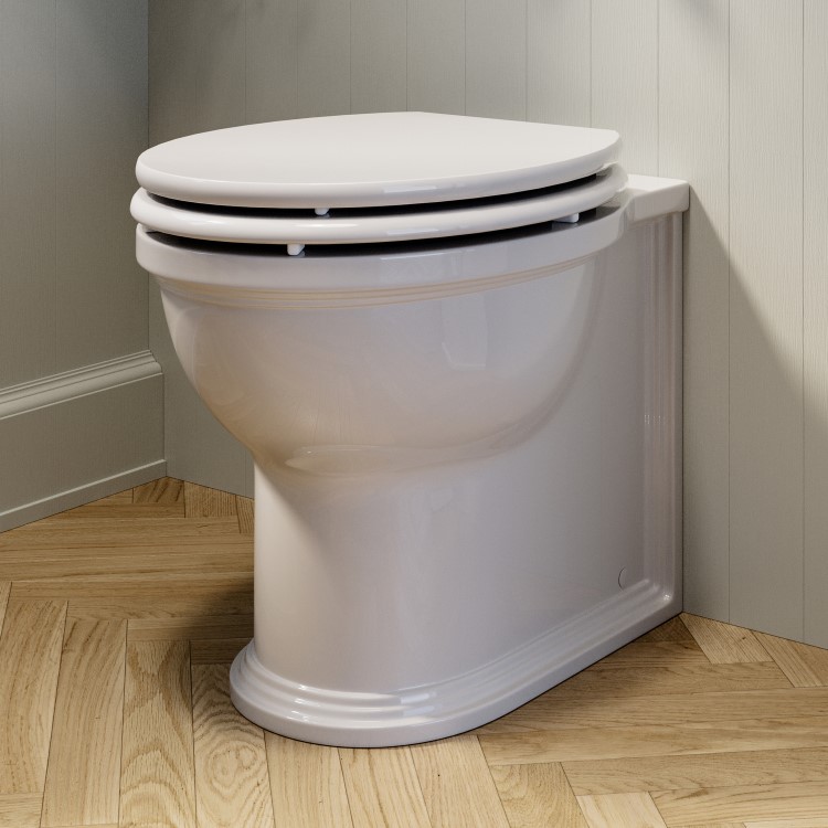 Back to Wall Rimless Toilet and Soft Close Seat with Brushed Brass Hinges - Ripley