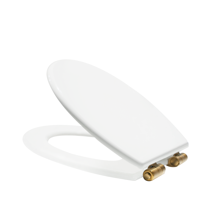Back to Wall Rimless Toilet and Soft Close Seat with Brushed Brass Hinges - Ripley