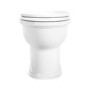 Back to Wall Rimless Toilet and Soft Close Seat with Brushed Brass Hinges - Ripley