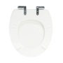 Back to Wall Rimless Toilet and Wooden Soft Close Seat with Chrome Hinges - Ripley