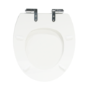 Back to Wall Rimless Toilet and Wooden Soft Close Seat with Chrome Hinges - Ripley