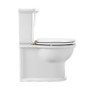 Close Coupled Rimless Toilet with Soft Close Seat and Brushed Brass Fittings - Ripley