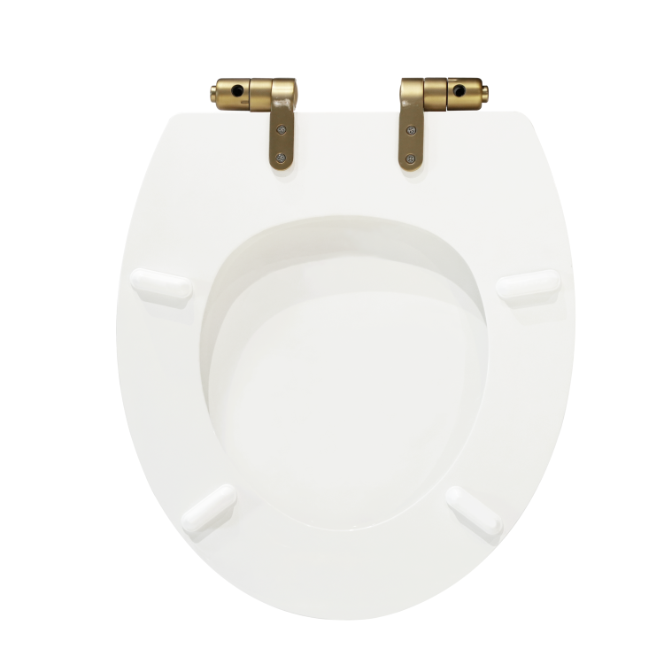 Close Coupled Rimless Toilet with Soft Close Seat and Brushed Brass Fittings - Ripley