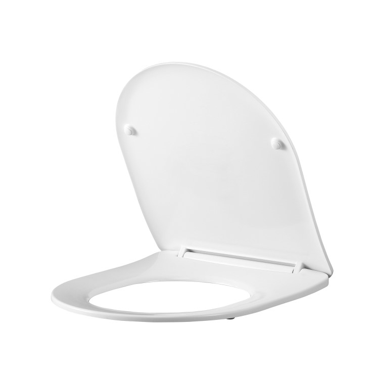 ONLY OPENED - Back to Wall Rimless Toilet and Soft Close Seat - Roma