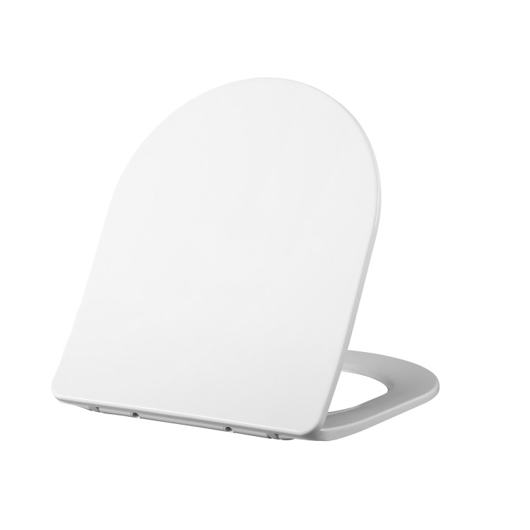 ONLY OPENED - Back to Wall Rimless Toilet and Soft Close Seat - Roma