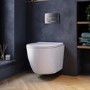 Wall Hung Rimless Toilet with Soft Close Seat, Chrome Pneumatic Flush Plate, 820mm Frame & Cistern – Roma