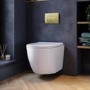 Wall Hung Rimless Toilet with Soft Close Seat, Brushed Brass Pneumatic Flush Plate, 820mm Frame & Cistern – Roma