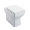 Square Back to Wall Toilet with Quick Release Seat
