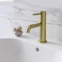 ONLY OPENED - Brushed Brass Cloakroom Mono Basin Mixer Tap - Arissa
