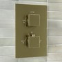 Brushed Brass 1 Outlet Wall Mounted Thermostatic Mixer Shower Set - Zana