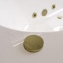 Double Ended Whirlpool Spa Bath with 6 Brushed Brass Whirlpool Jets 1700 x 750mm - Burford