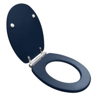 Nottingham Indigo Blue Toilet Seat for Close Coupled & Back to Wall Toilets