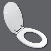 GRADE A1 - Nottingham White Soft Close Toilet Seat - High & Low Level Toilets
