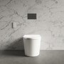 Back to Wall Smart Bidet Japanese Toilet - Purificare
