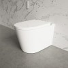 Back to Wall Smart Bidet Round Toilet - Purificare
