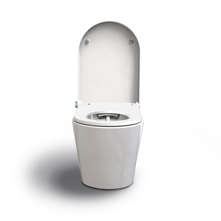 GRADE A1 - Back to Wall Bidet Toilet Combo- Built in Dryer & Spray-Purificare