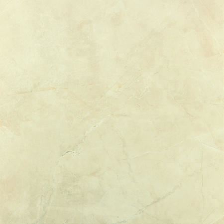 Ampla - Large Format Beige Polished Floor/Wall Tile 800 x 800mm - Ampla