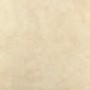 Ampla - Large Format Beige Polished Floor/Wall Tile 800 x 800mm - Ampla