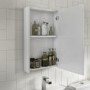 White Mirrored Wall Bathroom Cabinet 400 x 650mm - Ashford