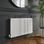 ALMOST PERFECT - White Horizontal 2 Column Traditional Radiator 600 x 1010mm - Nambi