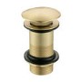 GRADE A2 - Brushed Brass Click Clack Unslotted Basin Waste - Arissa