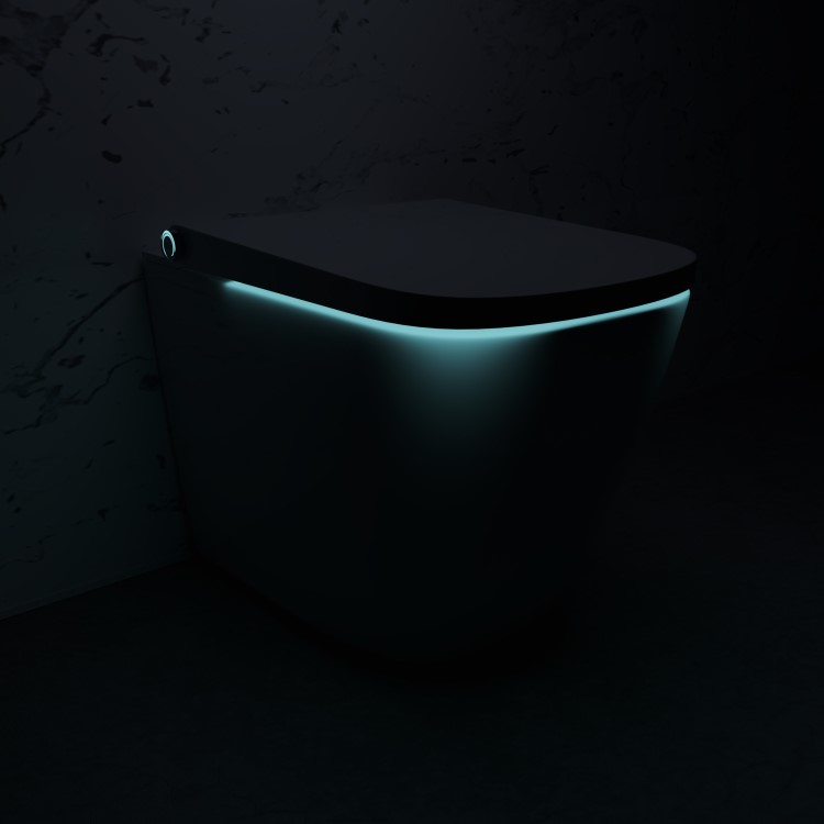 Back to Wall Smart Bidet Toilet Square - Purificare