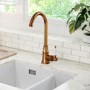 Taylor & Moore Hastings Traditional Kitchen Mixer Tap with Swivel Spout & Single Lever - Brushed Copper