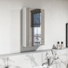 White Mirrored Bathroom Cabinet 400 x 650mm - Pendle