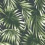 Palm Leaf Wallpaper - Easy Superfresco