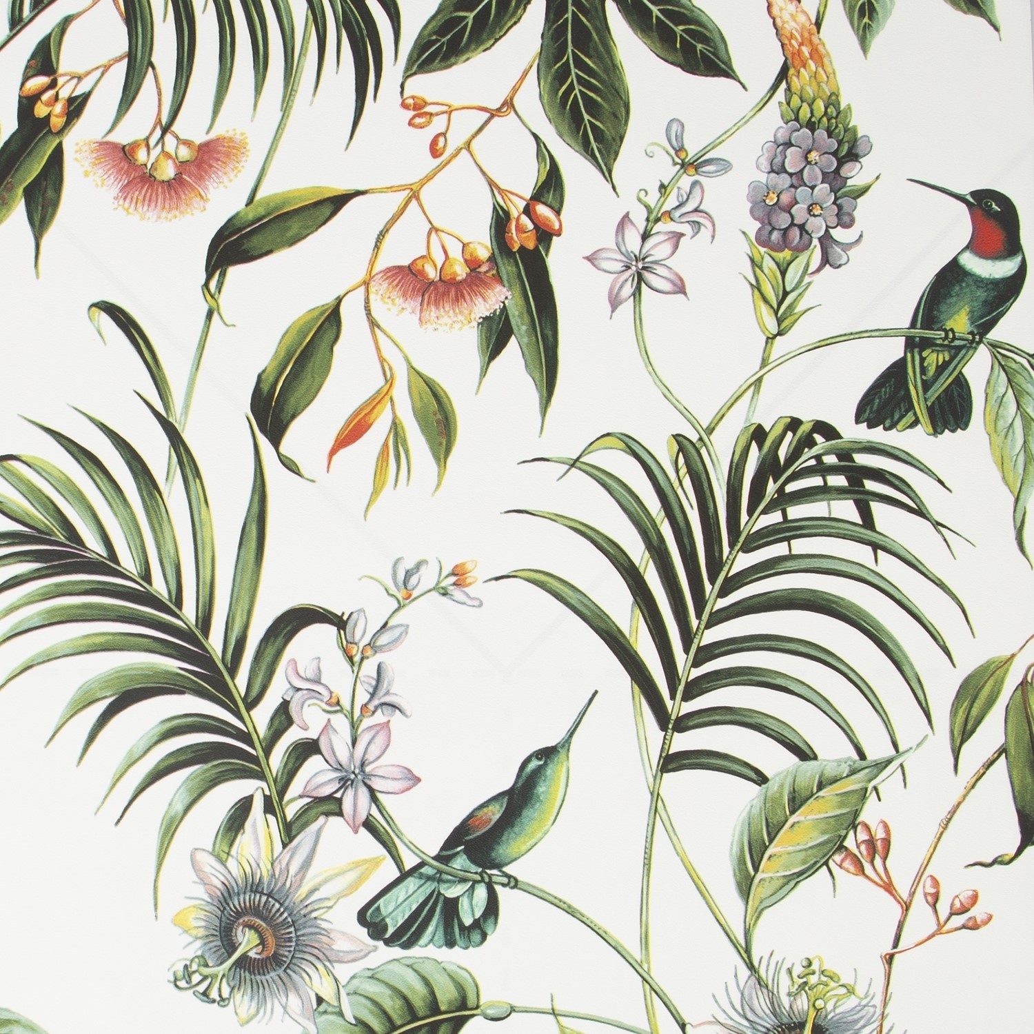 White & Green Tropical Superfresco Easy Wallpaper