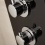 Thermostatic Shower Tower Panel - Crystal Range