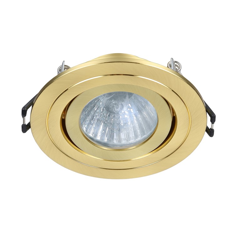IP65 Gold Down Light