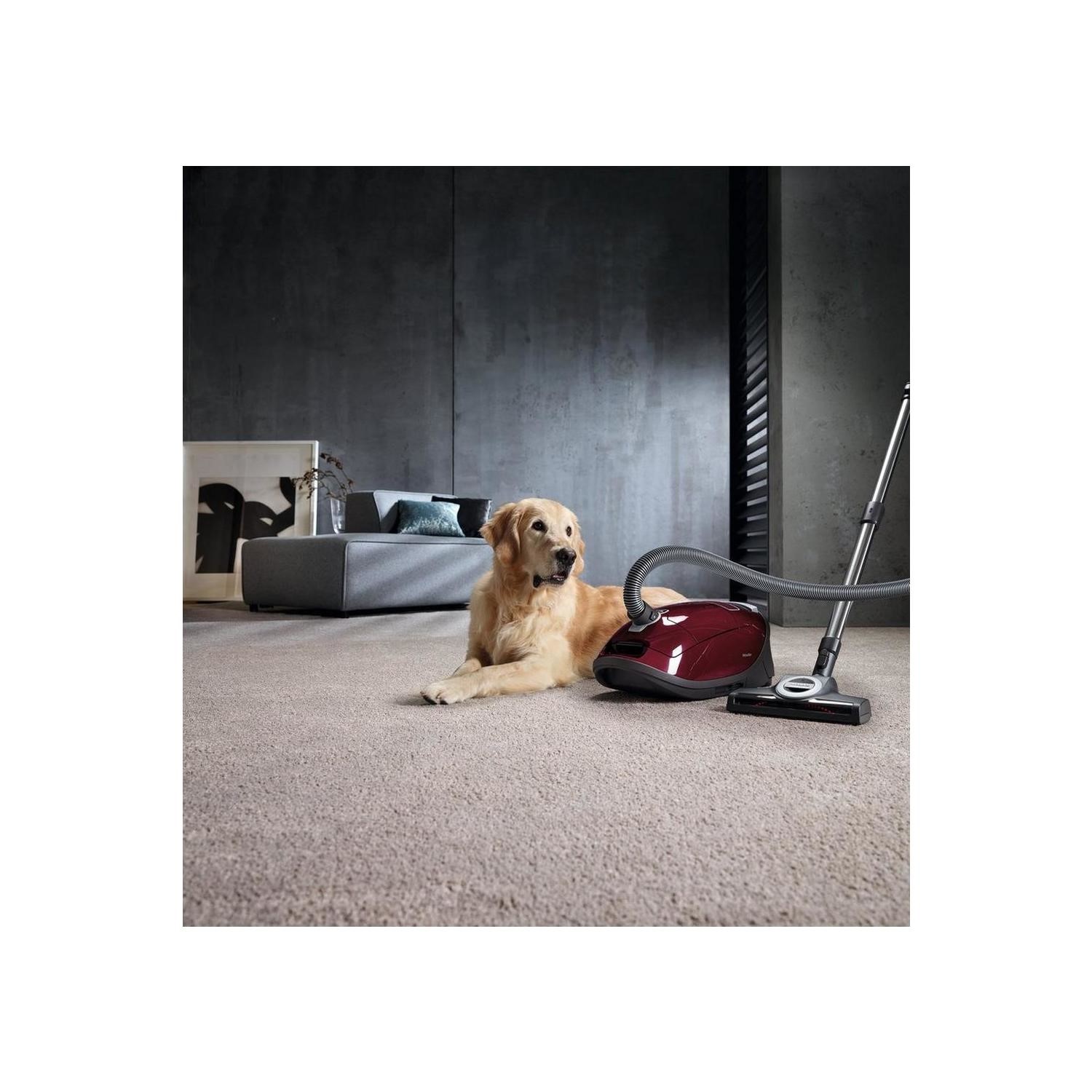 Miele C3 Complete Cat & Dog Pro Bagged Cylinder Vacuum Cleaner
