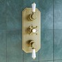 Brushed Brass Dual Outlet Wall Mounted Thermostatic Mixer Shower with Hand Shower - Cambridge