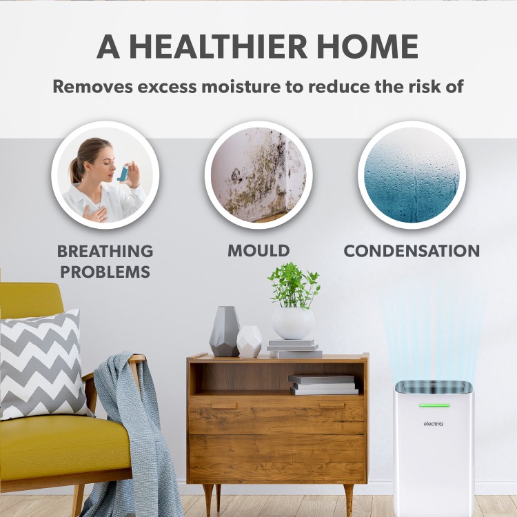 Refurbished electriQ 12L Smart Quiet Low-Energy Dehumidifier and  Air Purifier
