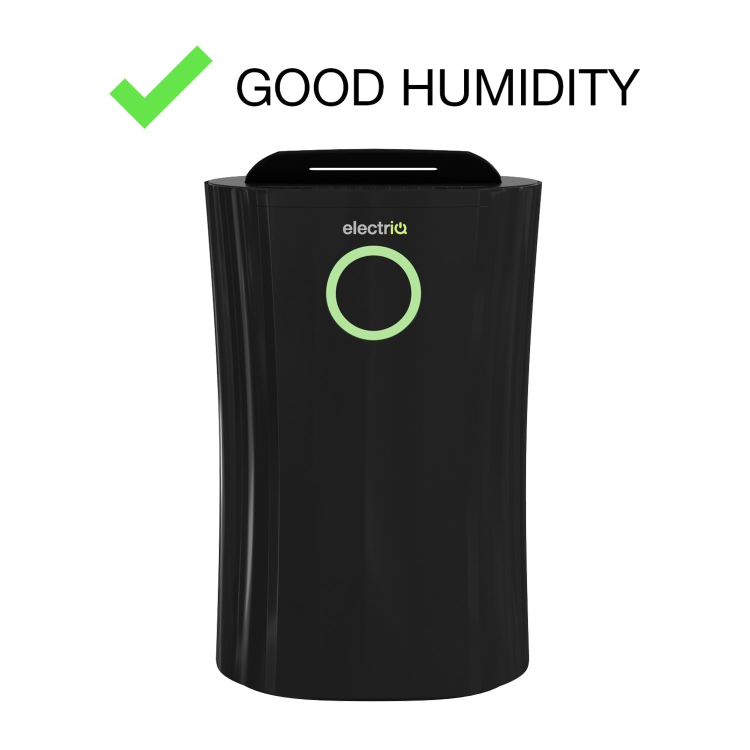 GRADE A2 - electriQ 20L Low Energy Premium Black Dehumidifier for 2 to 5 bed houses