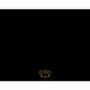 Rangemaster 57370 Classic 90cm Wide Splashback - Black With Brass Graphics