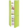 Liebherr 304 Litres 60/40 Freestanding Fridge Freezer - Kiwi Green