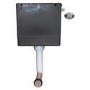 Back to Wall Toilet with Soft Close Seat and Concealed Cistern - Seren