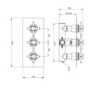 Triple Crosshead Concealed Shower Valve