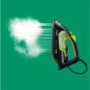 AEG DB5136GR-U Steam Iron - Black & Green