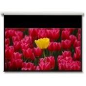 Optoma Panoview DE-9106EGA - projection screen motorized - 106 in