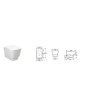 Step Wall Hung Toilet with Soft Close Seat